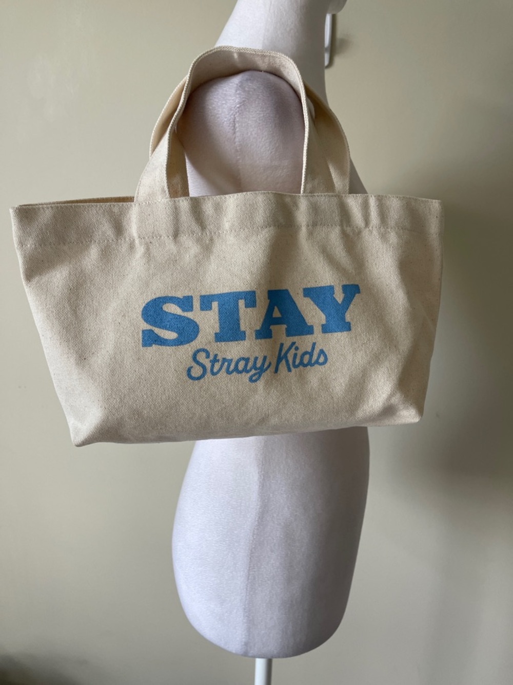 Stray Kids Stay Official 2nd Generation Fan Club mini eco tote bag. EUC